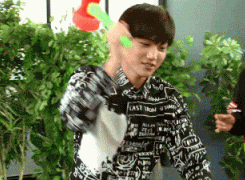 kai.gif