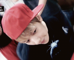 tumblr_n36t8tXOao1saq0axo3_250.gif