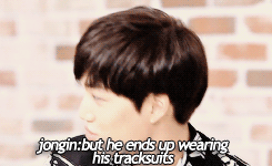 tumblr_n37d8zb2vH1r44taeo5_250.gif