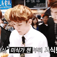 tumblr_n37ql7VtIh1rblf33o1_250.gif