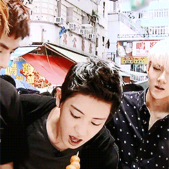 tumblr_n37ql7VtIh1rblf33o4_250.gif