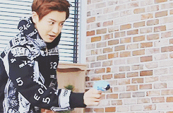 tumblr_n37t53sJPm1qj2et3o1_250.gif