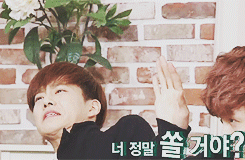 tumblr_n37t53sJPm1qj2et3o3_250.gif