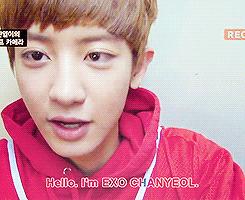 tumblr_n3783dYznX1raxvqro1_r1_250.gif
