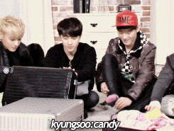 tumblr_n3798pvk8i1r44taeo2_250.gif