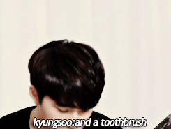 tumblr_n3798pvk8i1r44taeo5_r1_250.gif
