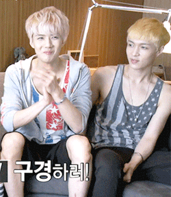 SH36.gif