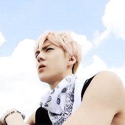 SH39.gif
