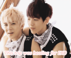 SH40.gif