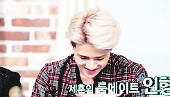 SH48.gif