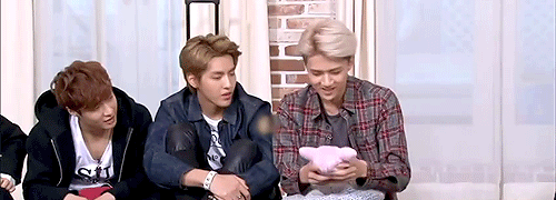 SH52.gif