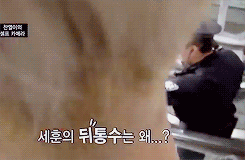 SH60.gif