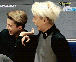 5.gif