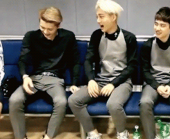 9.gif