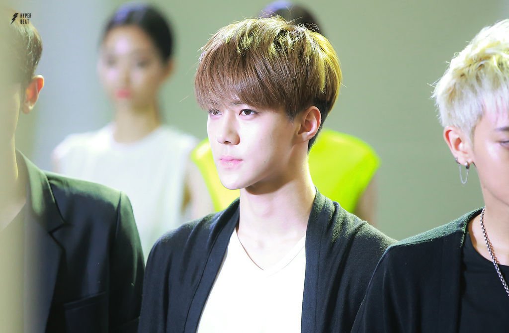 1407161.jpg