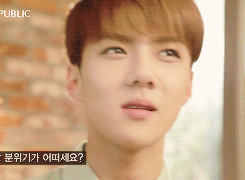 23.gif