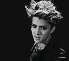 0829S.gif