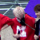 sh6.gif