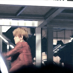BAEK.gif