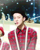 tumblr_my5ifna60z1r2xxebo8_r1_250.gif