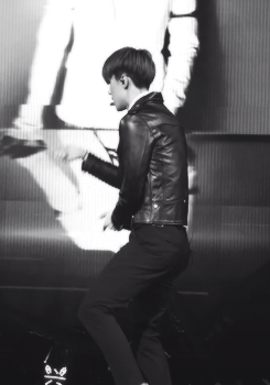 tumblr_n8y5oi5jry1qzh5sno2_250.gif