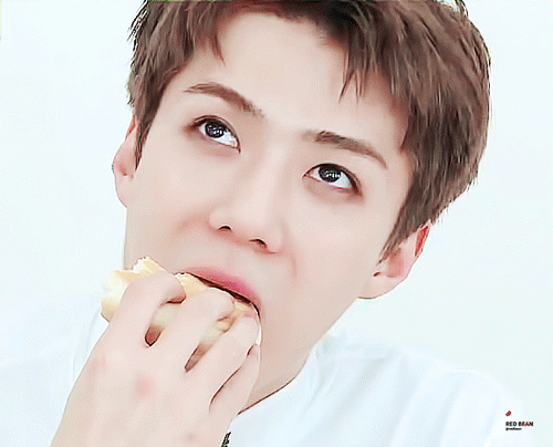 160919빵을앙냐.gif
