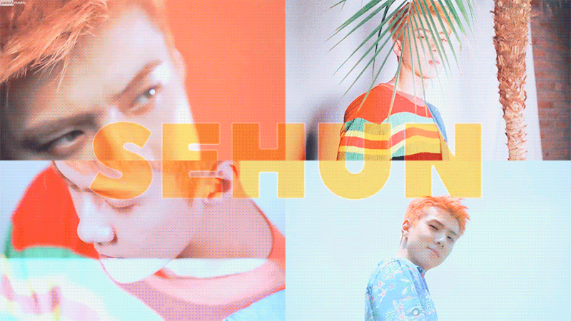 170713_se2.gif