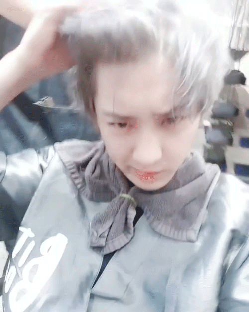 181123_cy_b.gif