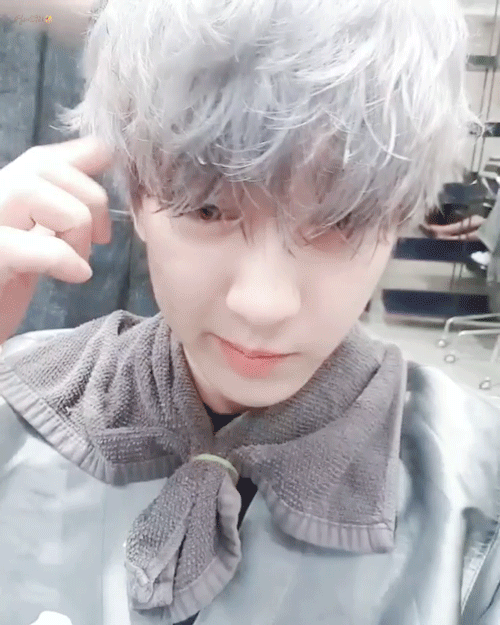 181123_cy.gif