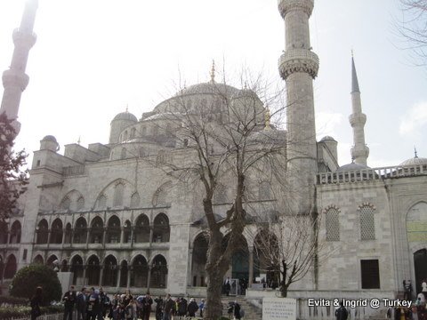 IMG_6183.JPG