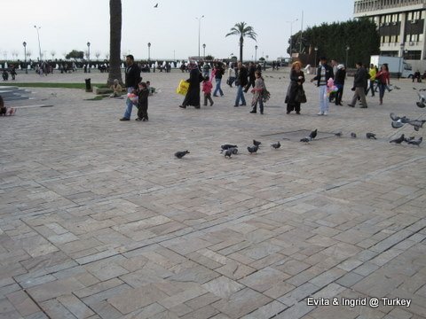 IMG_5240.JPG