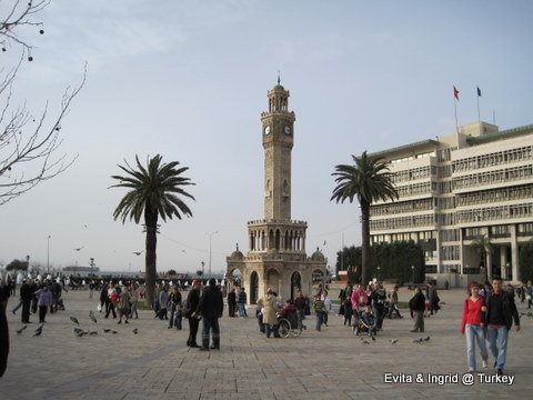 IMG_5231.JPG