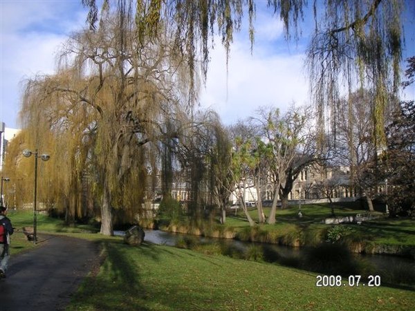 PICT1126.JPG