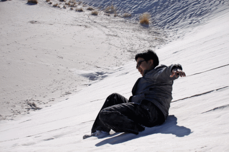 test3.gif