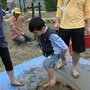 IMG_0229.JPG