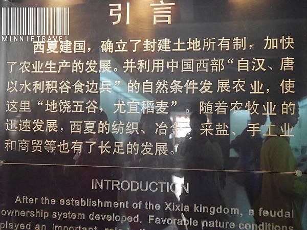 P1050132.JPG