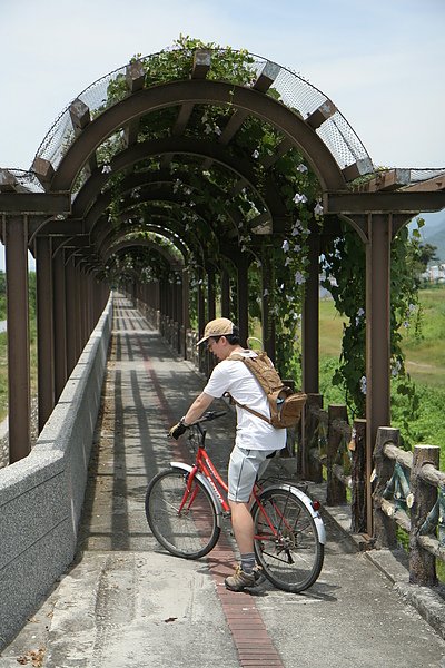 自行車道南段綠色隧道