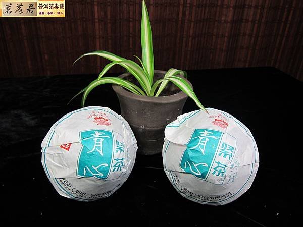 15年下關青心緊茶 (1)