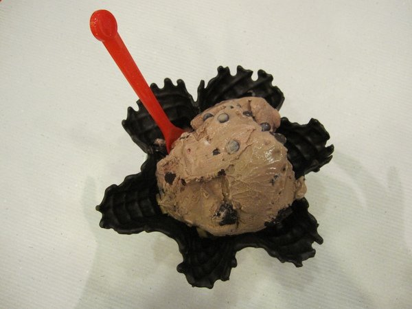 2009-11-26coldstone 014.jpg