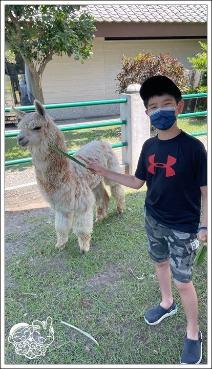 綠14.jpg