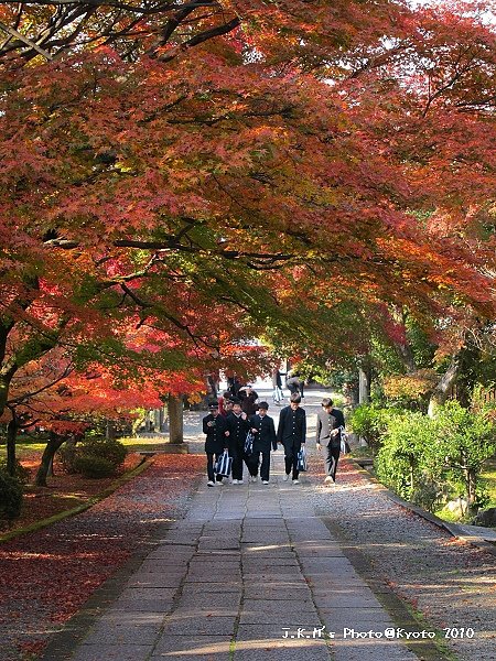 養源院