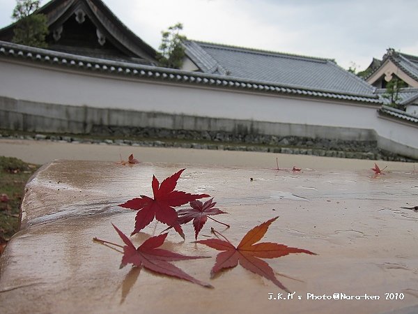奈良公園
