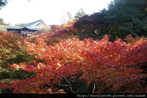 DSC07279 東福寺.JPG