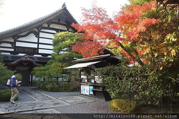 DSC07318 東福寺.JPG