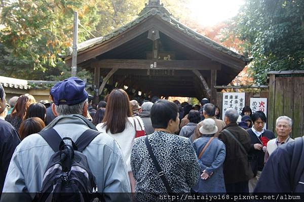 東福寺 (4).JPG