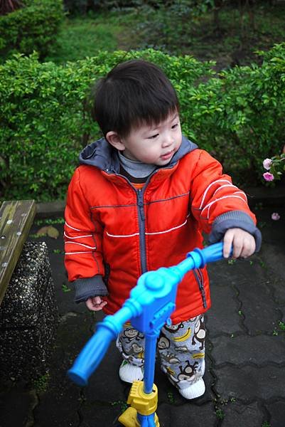 P1060300.JPG