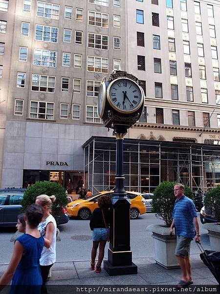 P7293699.jpg
