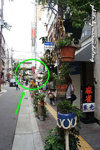 DSC08360-1.JPG