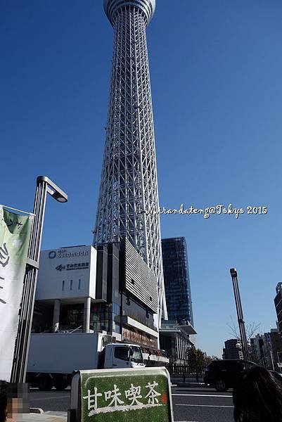 DSC08664.JPG