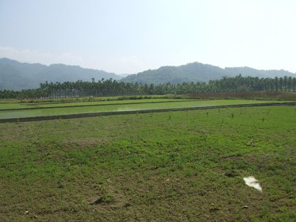 美濃6.jpg
